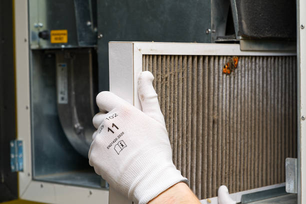 Best Affordable Duct Cleaning Services  in Litchfield Park, AZ